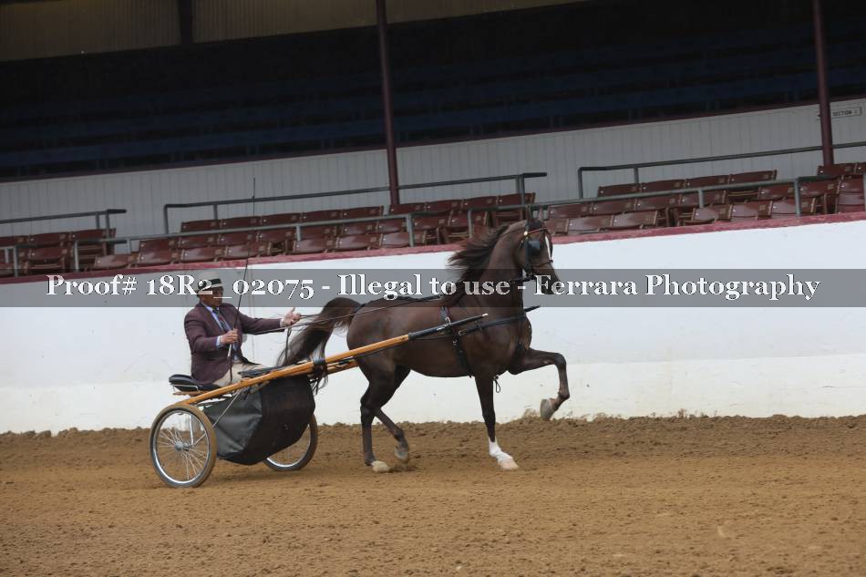 Proof 18R2_02075