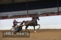 18R2_02075 proof