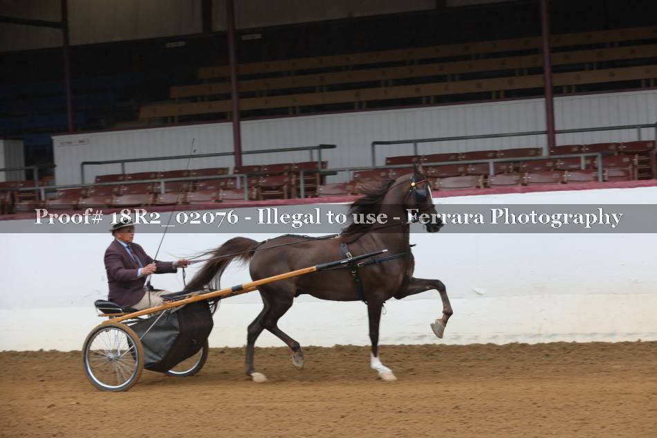 Proof 18R2_02076