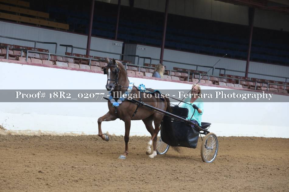 Proof 18R2_02077