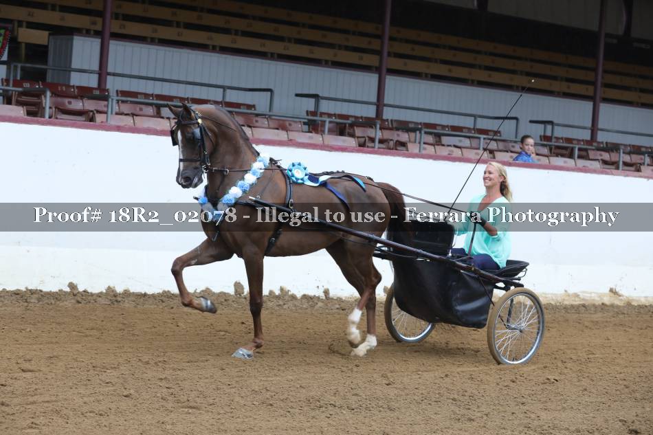Proof 18R2_02078