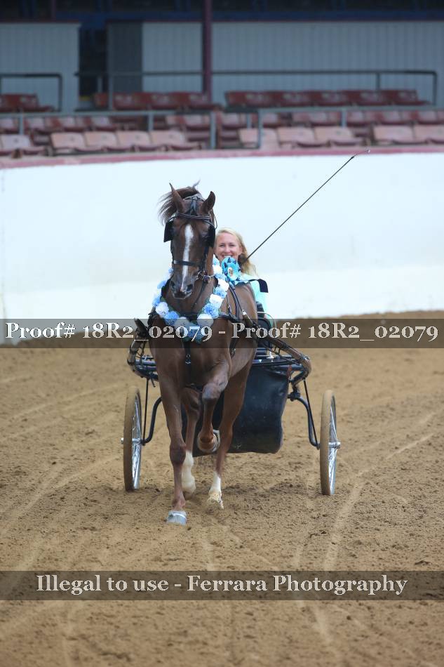 Proof 18R2_02079