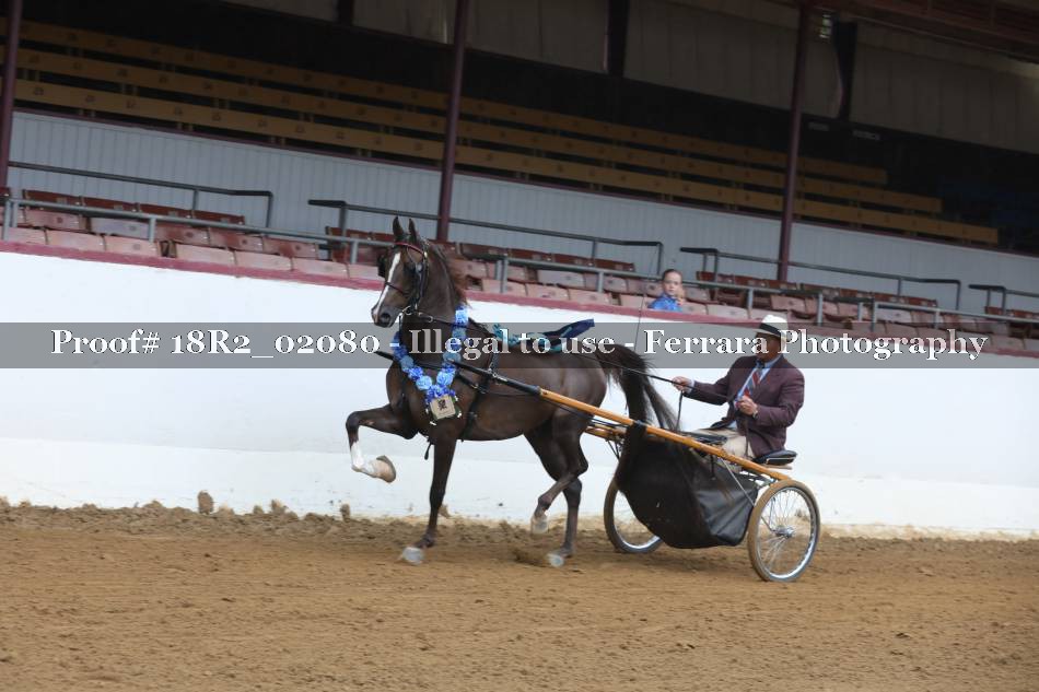 Proof 18R2_02080