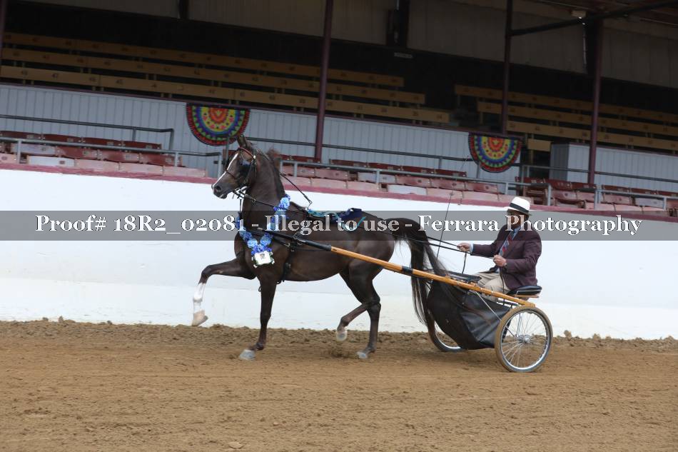 Proof 18R2_02081
