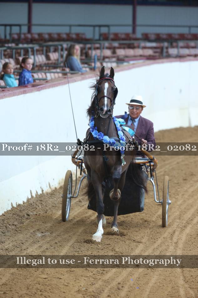 Proof 18R2_02082