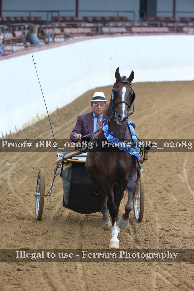 Proof 18R2_02083