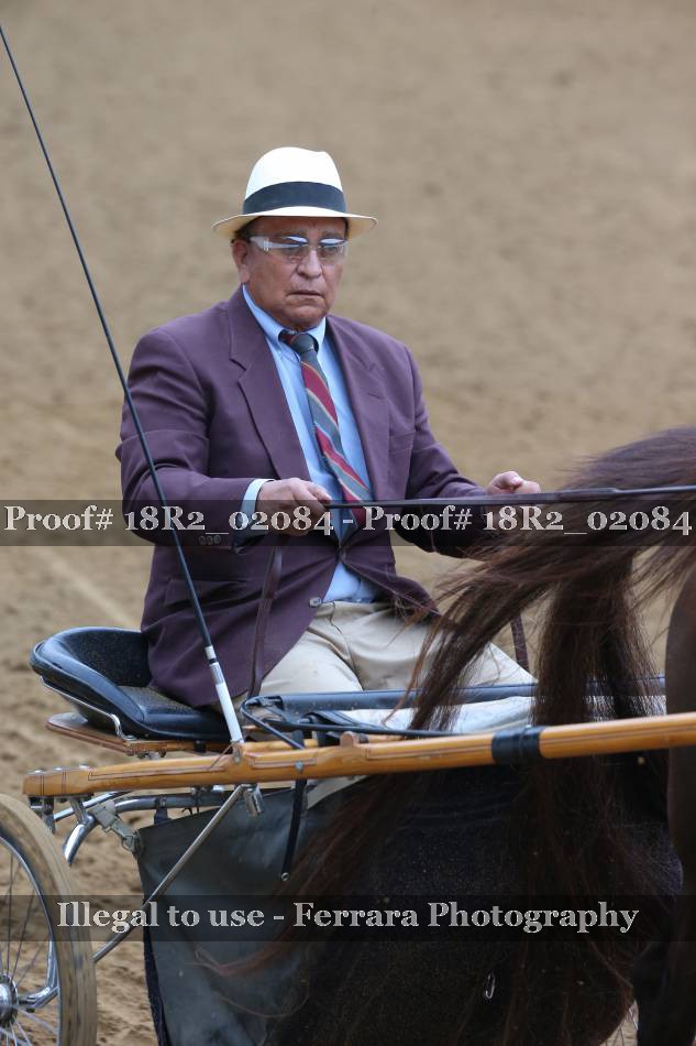 Proof 18R2_02084