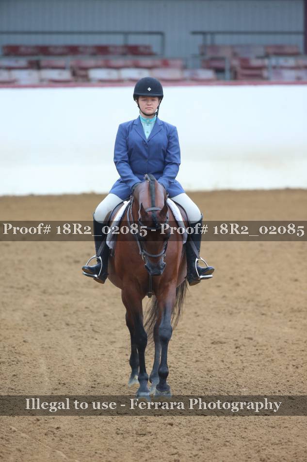 Proof 18R2_02085