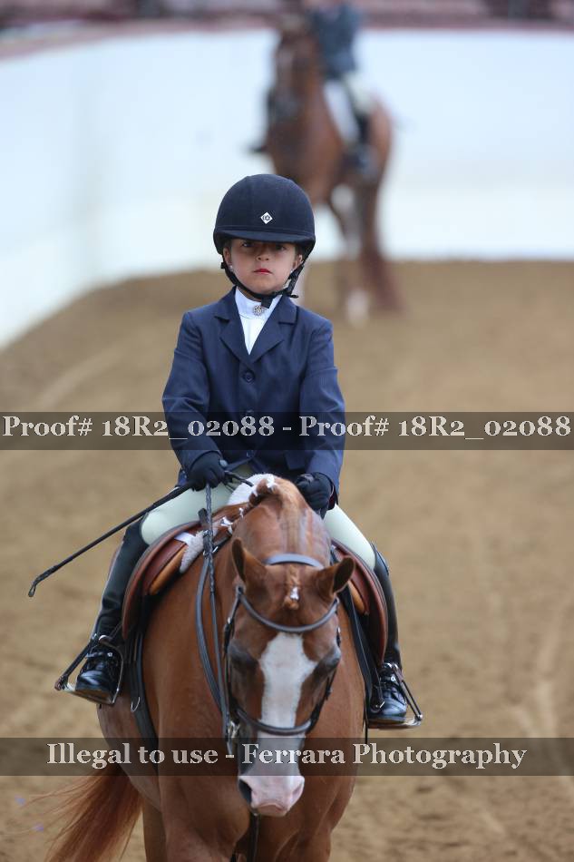Proof 18R2_02088