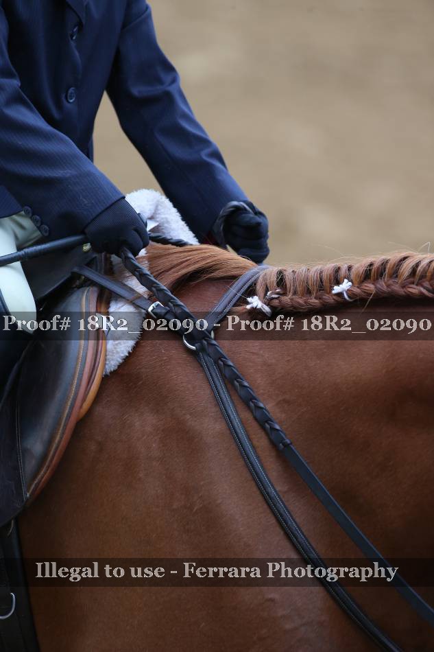 Proof 18R2_02090