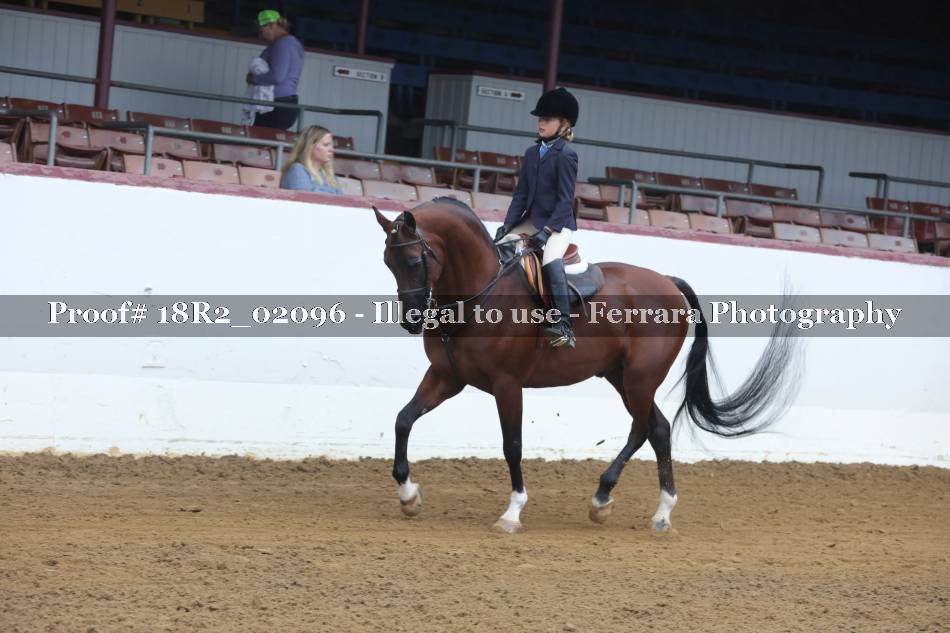 Proof 18R2_02096