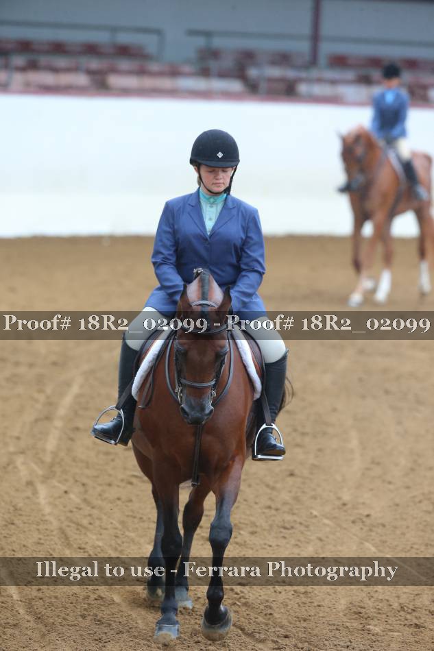 Proof 18R2_02099