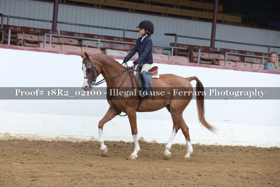 Proof 18R2_02100