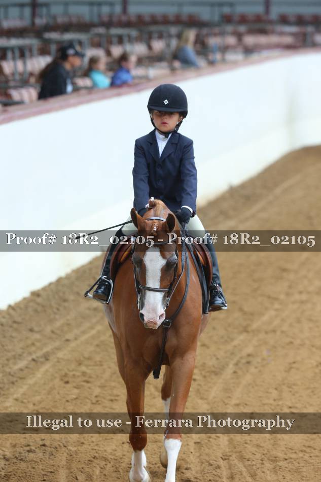 Proof 18R2_02105