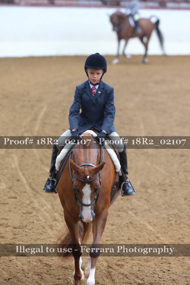 Proof 18R2_02107