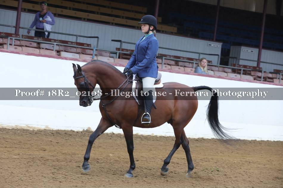 Proof 18R2_02108