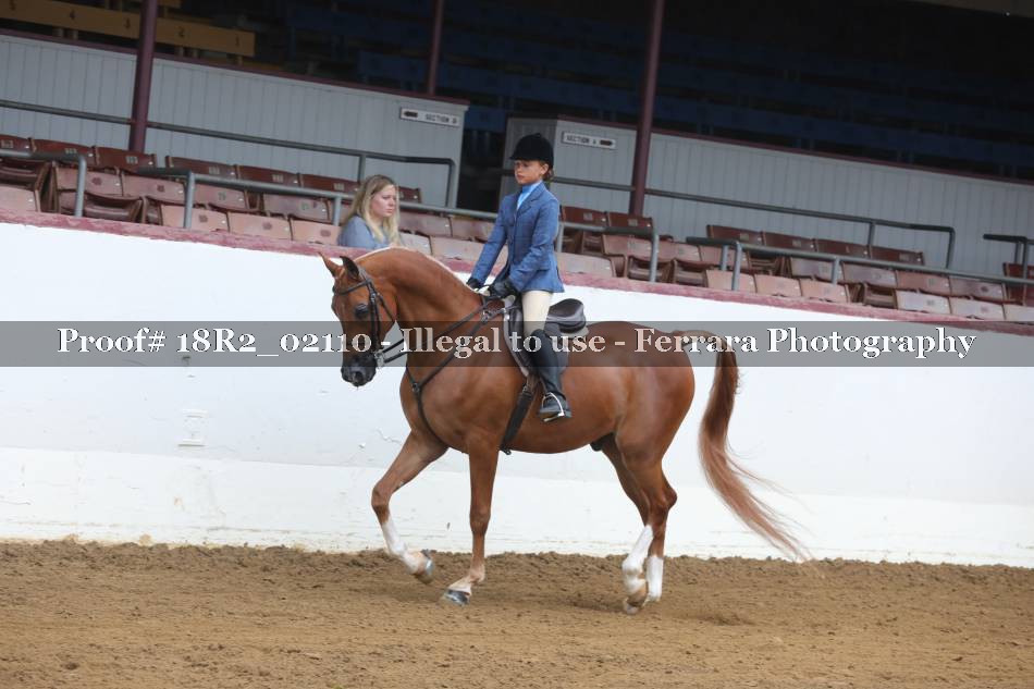 Proof 18R2_02110