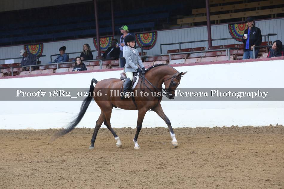 Proof 18R2_02116