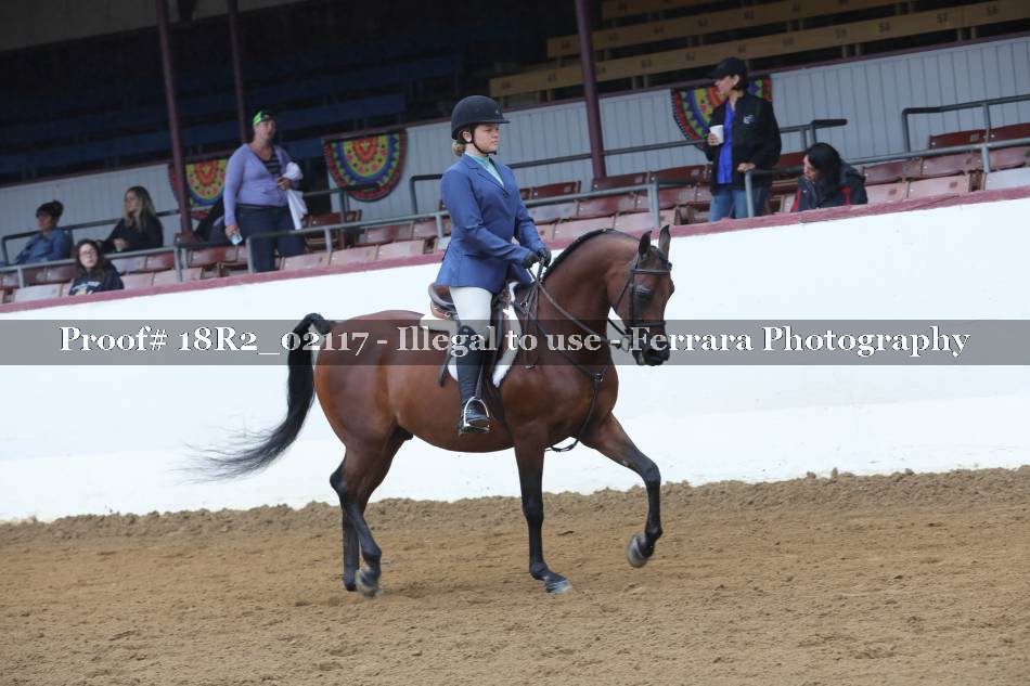 Proof 18R2_02117