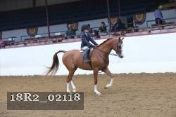 18R2_02118 proof