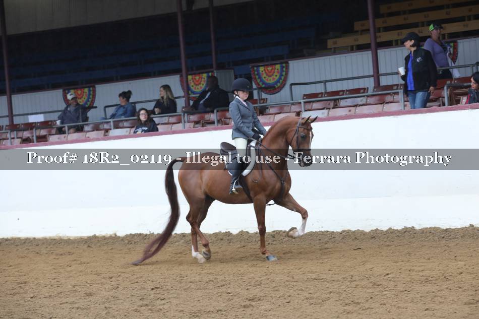 Proof 18R2_02119
