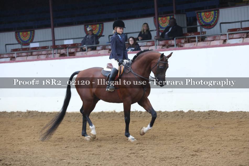 Proof 18R2_02120