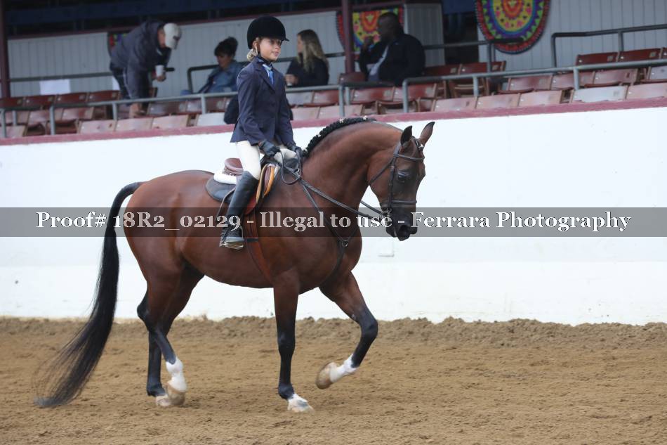 Proof 18R2_02129