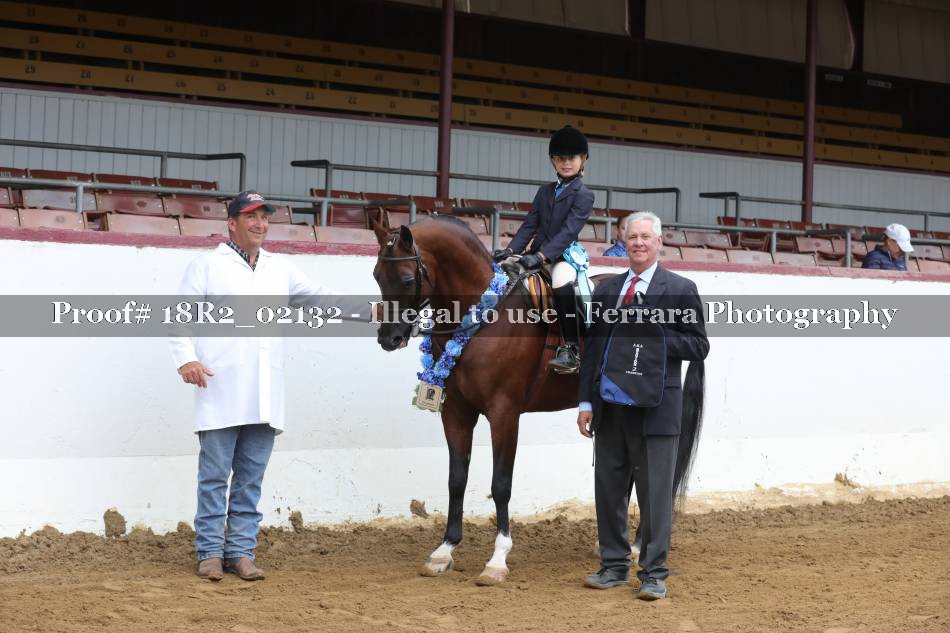 Proof 18R2_02132