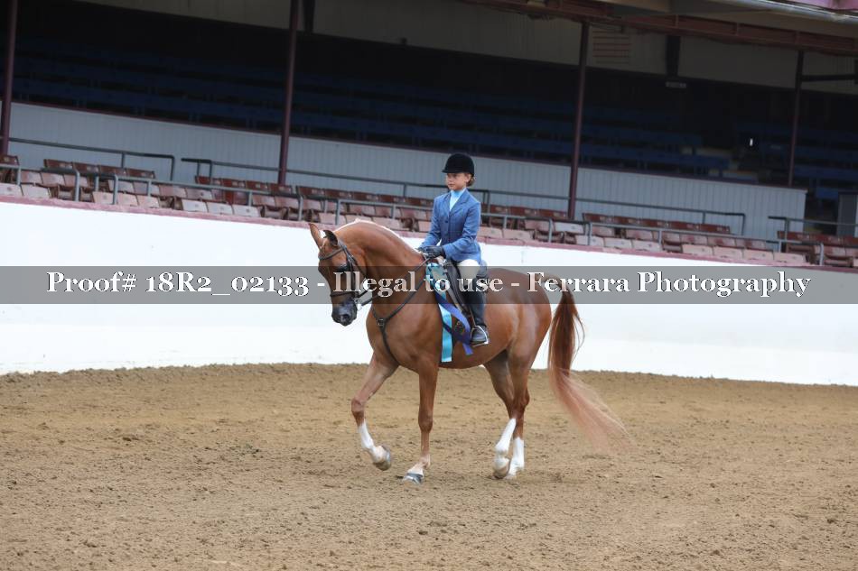 Proof 18R2_02133