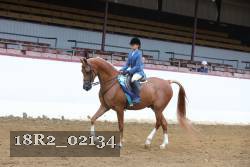 18R2_02134 proof