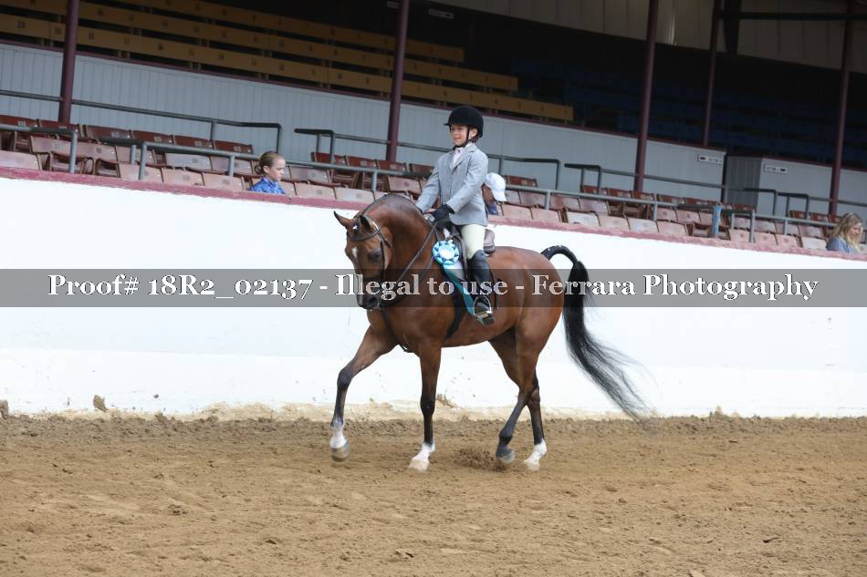 Proof 18R2_02137