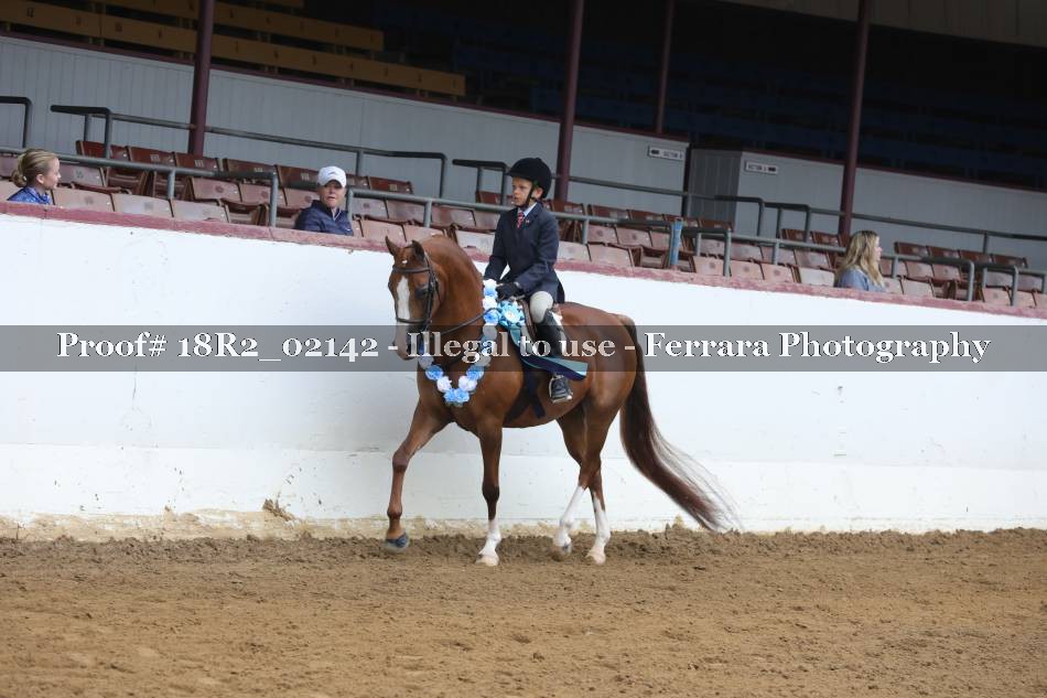 Proof 18R2_02142