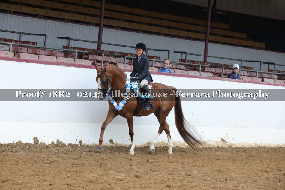 Proof 18R2_02143