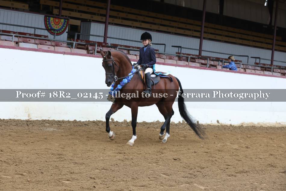 Proof 18R2_02145