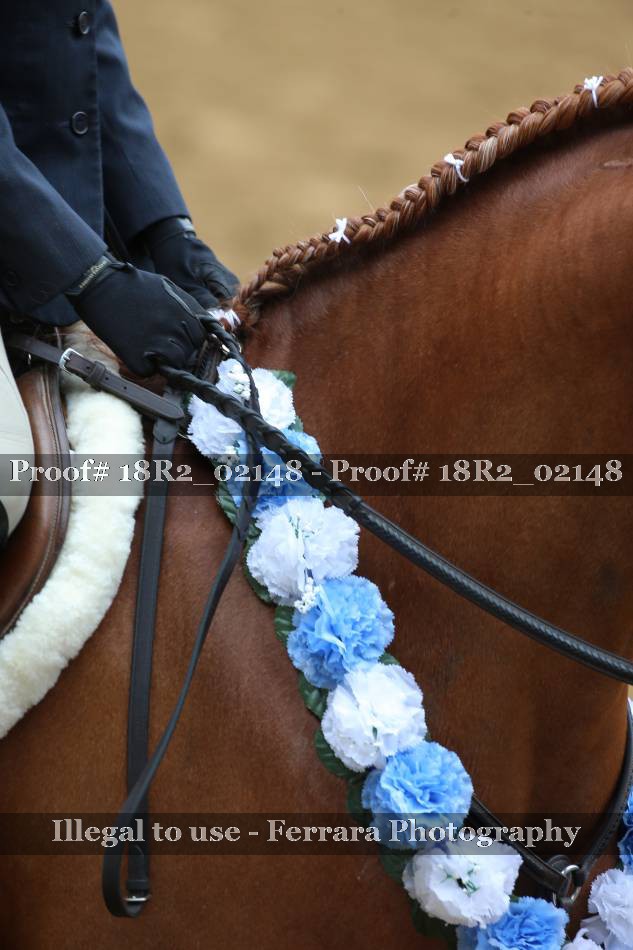 Proof 18R2_02148