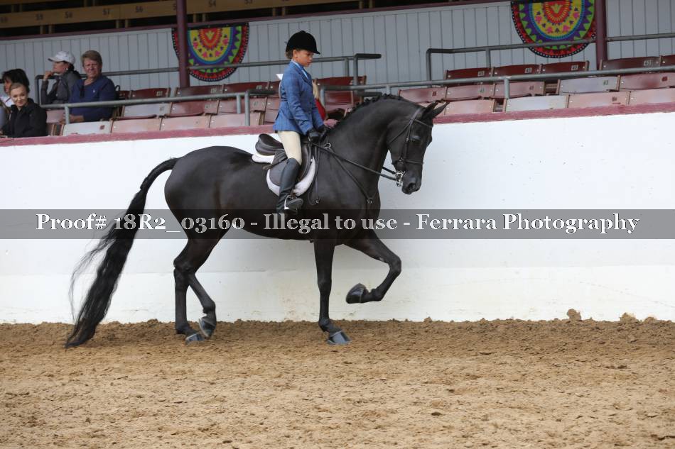 Proof 18R2_03160