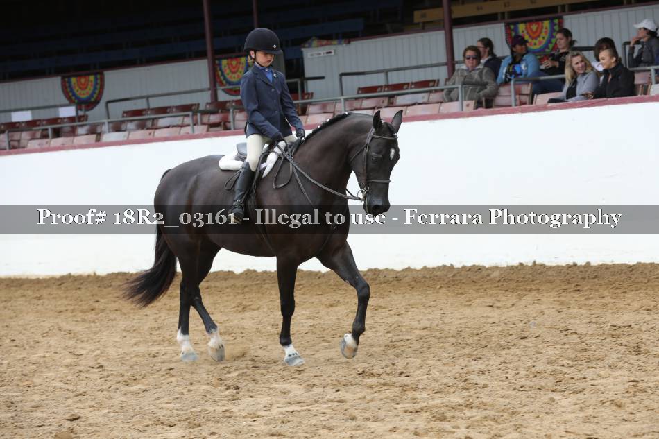 Proof 18R2_03161