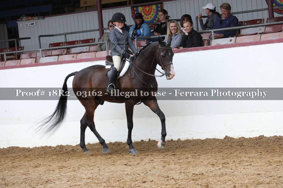 Proof 18R2_03162