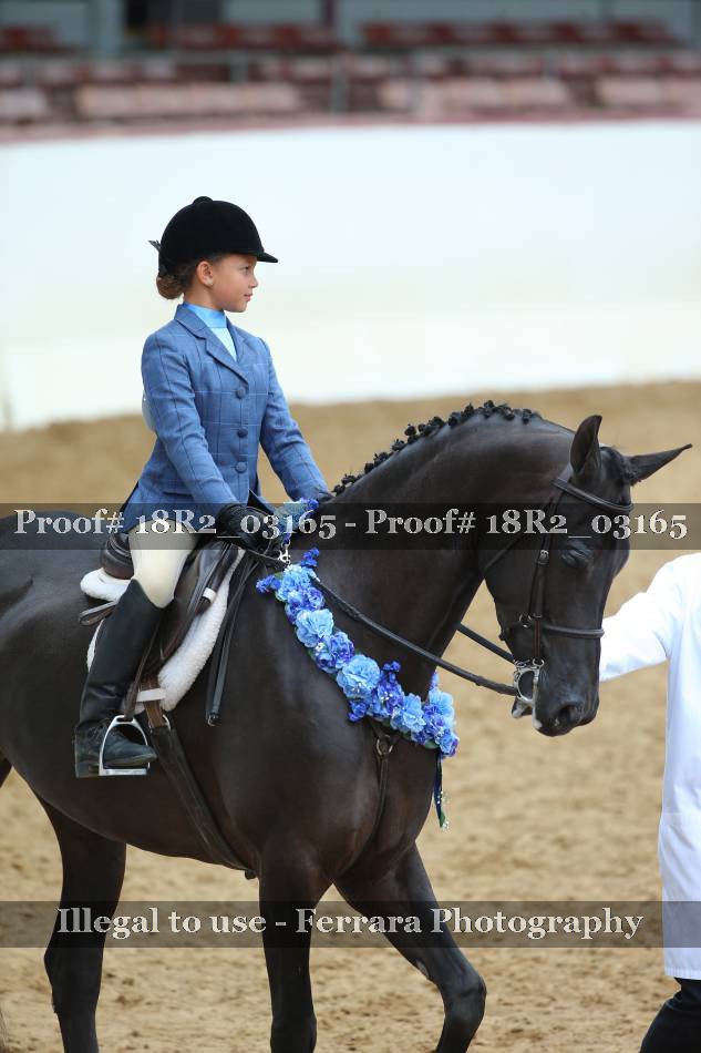 Proof 18R2_03165