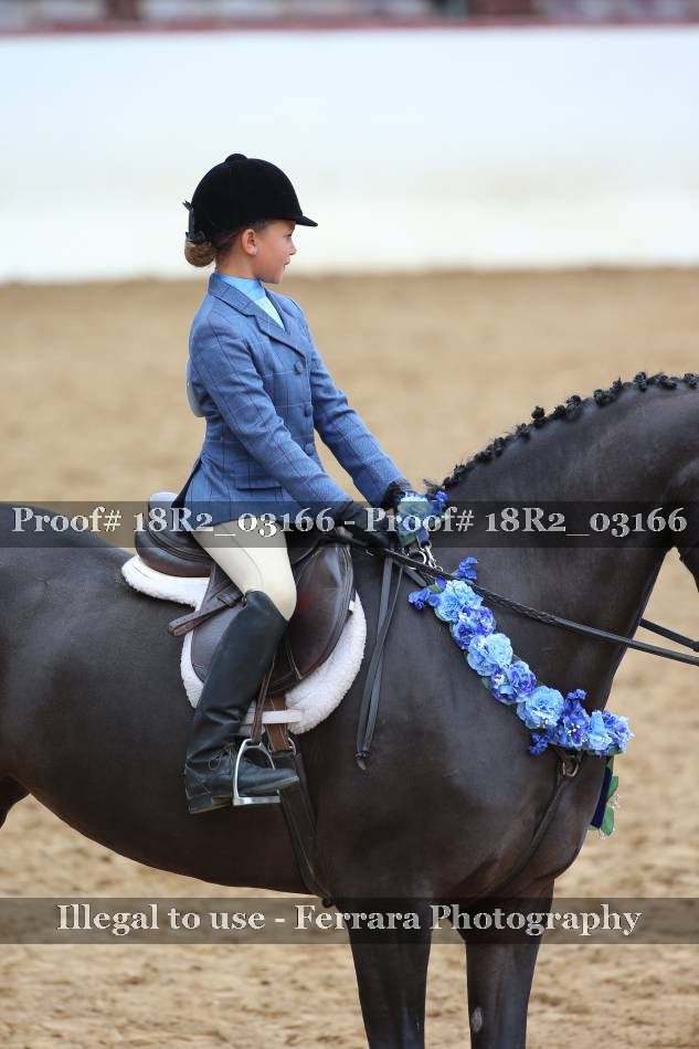 Proof 18R2_03166