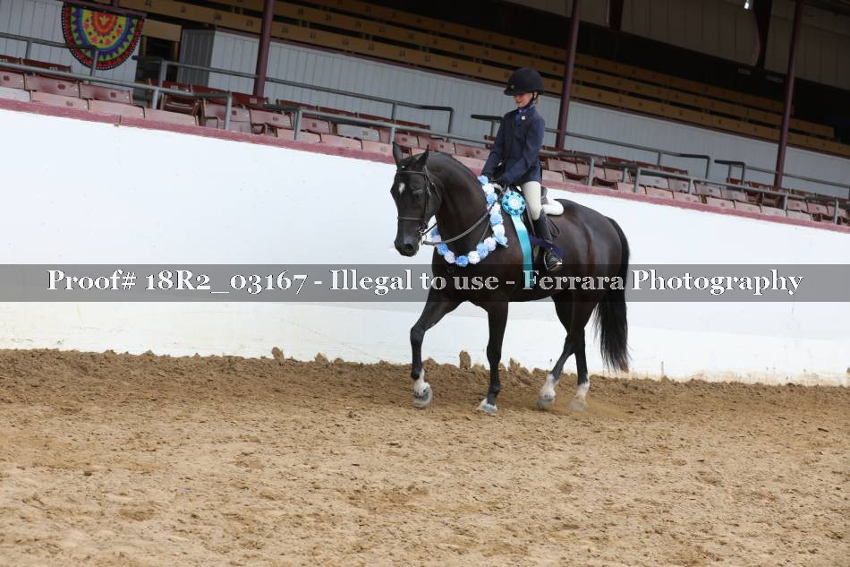 Proof 18R2_03167