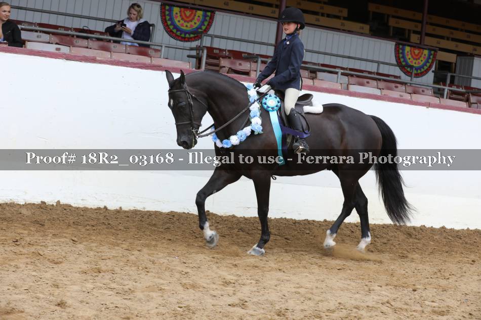 Proof 18R2_03168