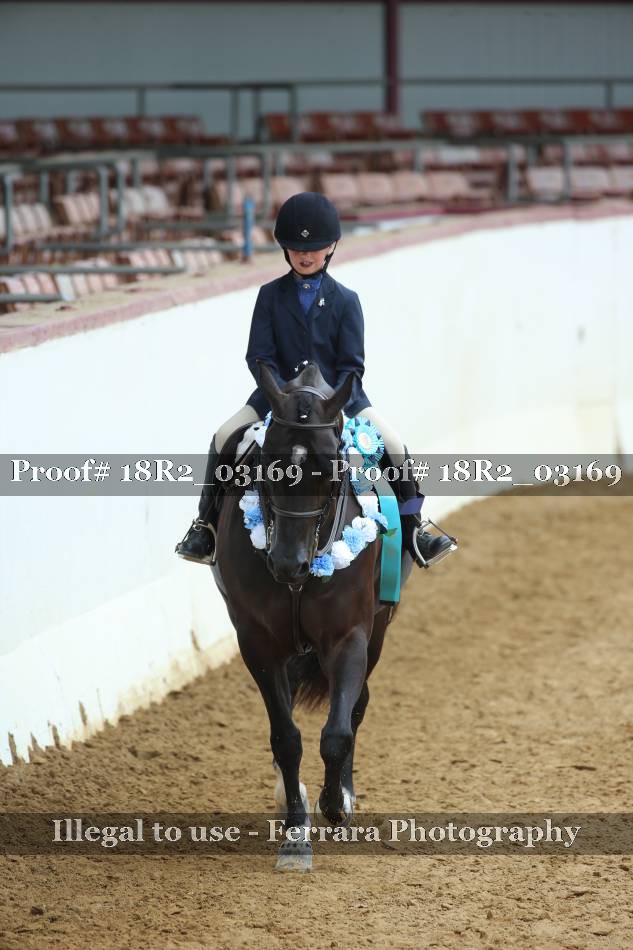 Proof 18R2_03169
