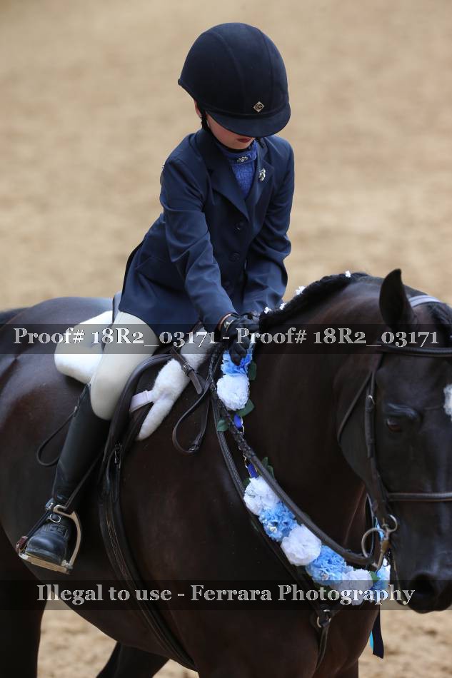 Proof 18R2_03171