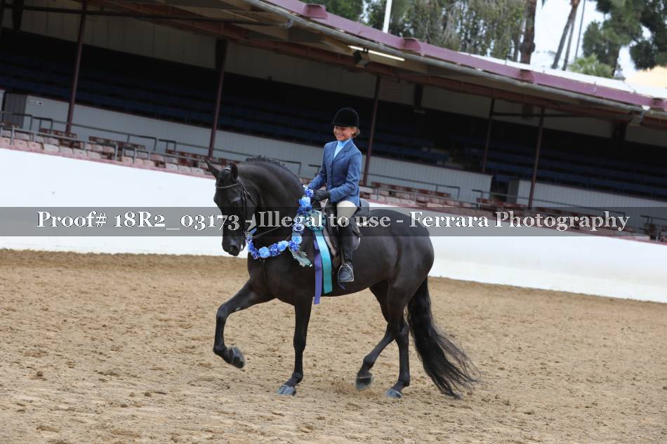 Proof 18R2_03173