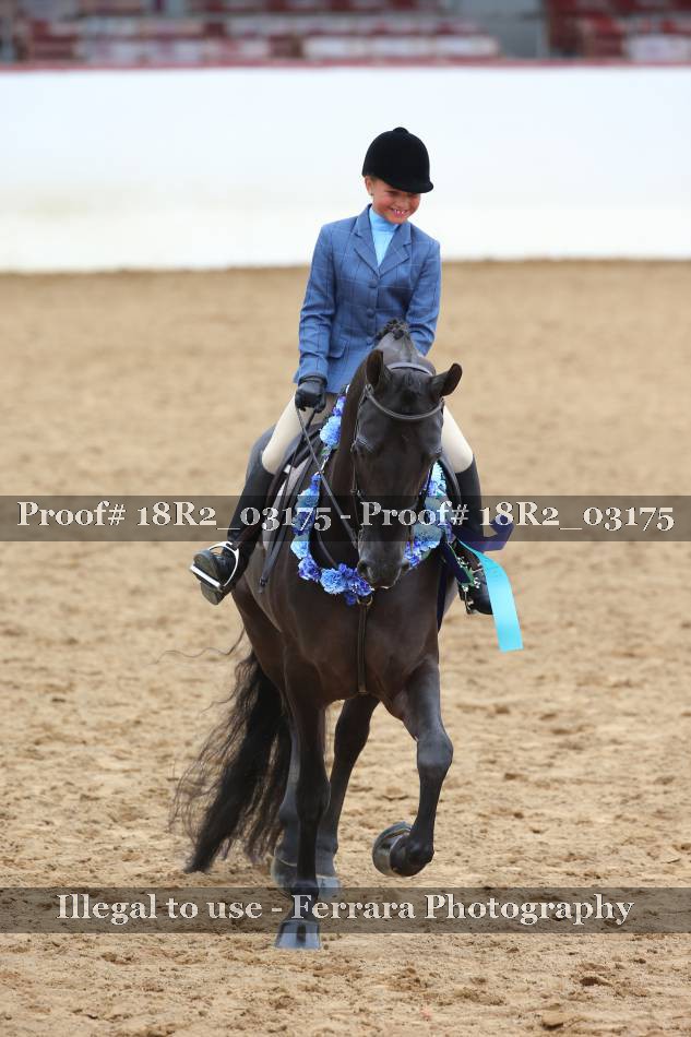 Proof 18R2_03175