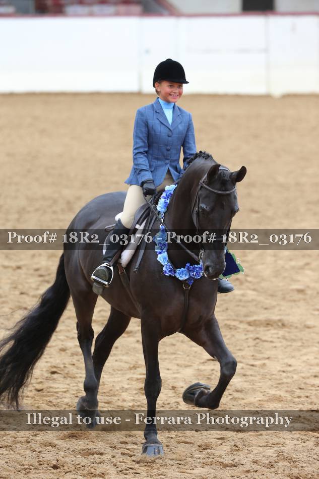 Proof 18R2_03176