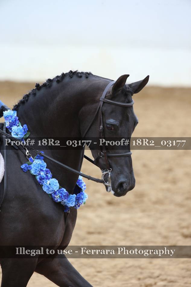 Proof 18R2_03177