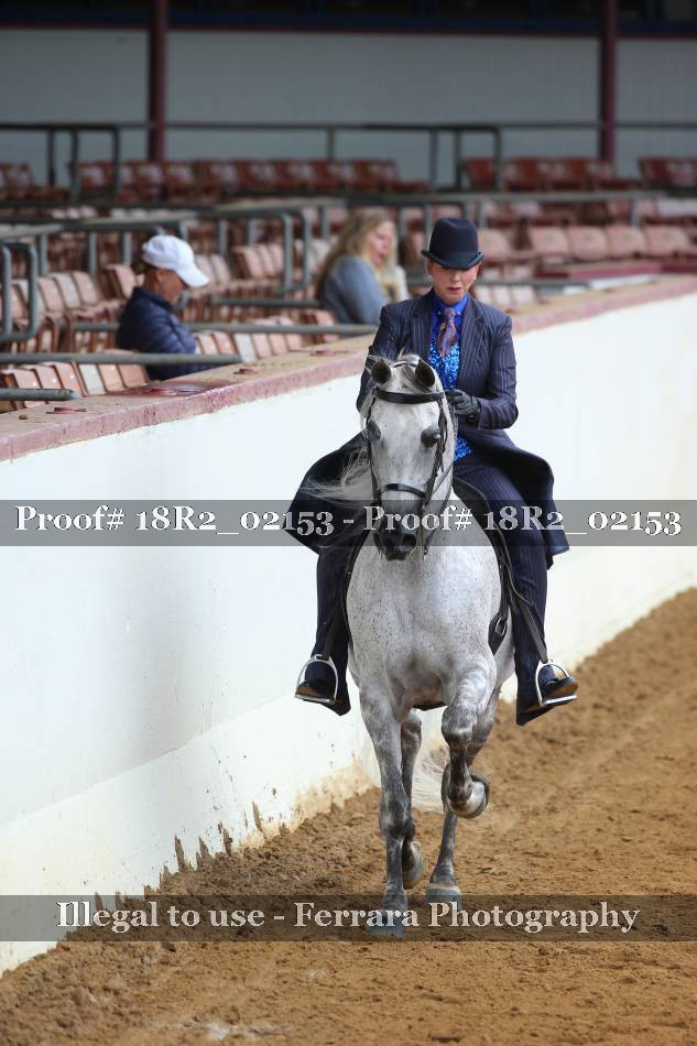 Proof 18R2_02153