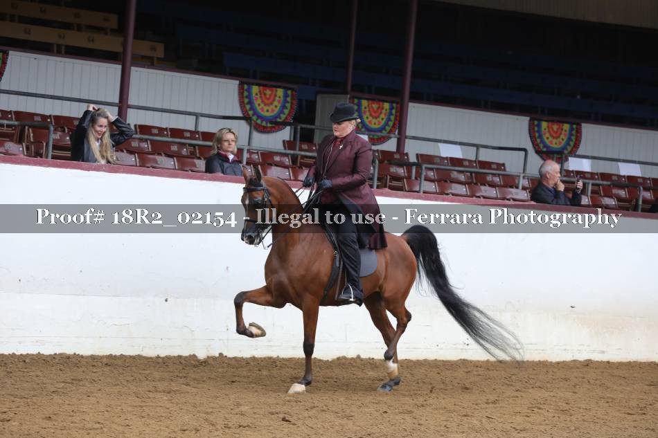 Proof 18R2_02154